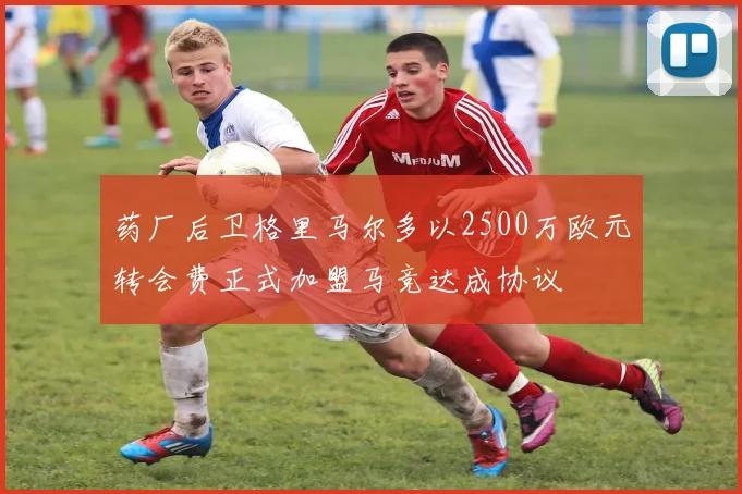 药厂后卫格里马尔多以2500万欧元转会费正式加盟马竞达成协议