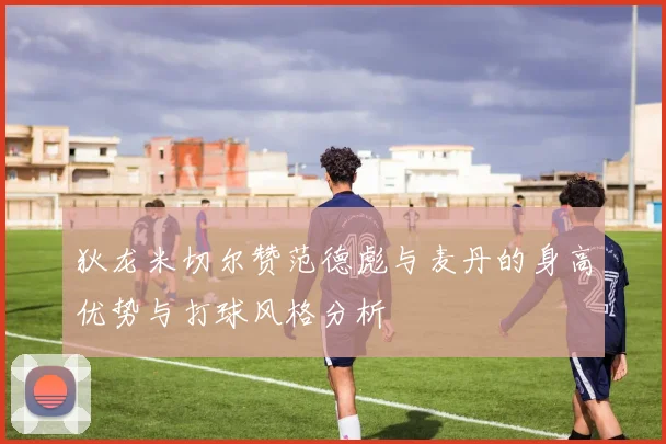 狄龙米切尔赞范德彪与麦丹的身高优势与打球风格分析