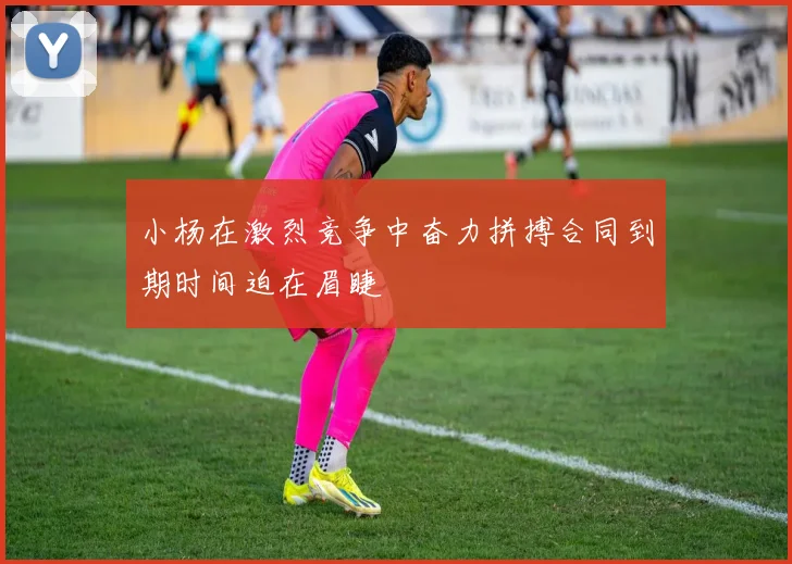 小杨在激烈竞争中奋力拼搏合同到期时间迫在眉睫